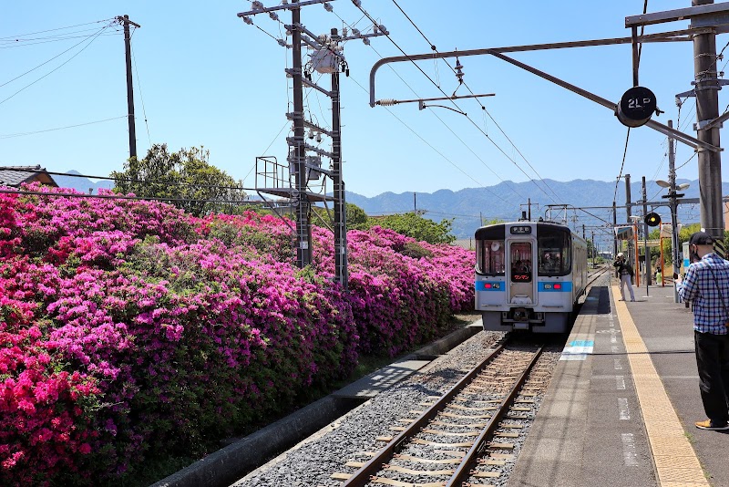 사누키 도요하마 초사 축제