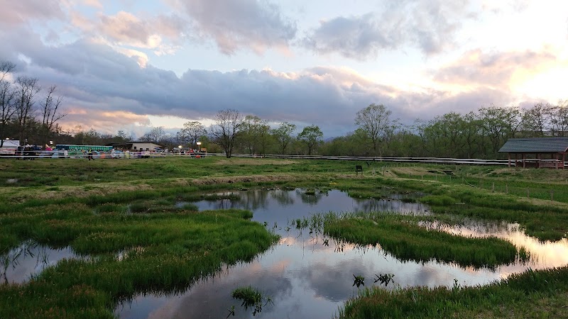 아라바키 록 페스티벌 26