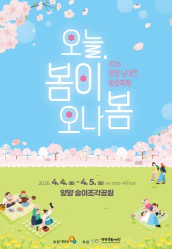 양양 남대천 벚꽃축제