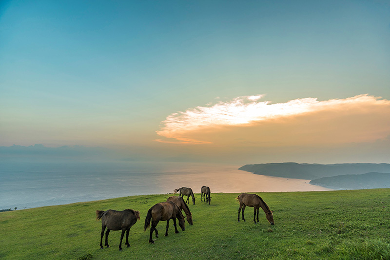 미야자키 납량 불꽃놀이 대회