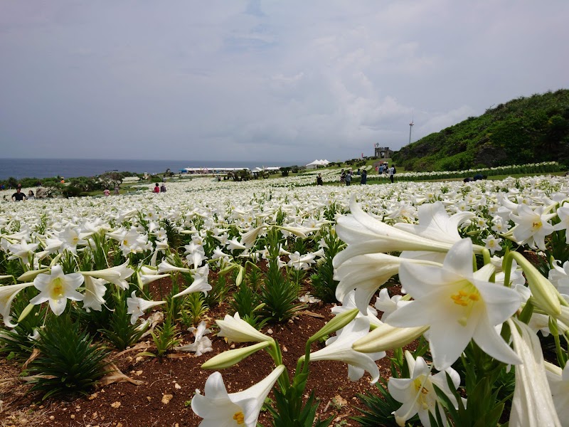 이에지마 유리축제