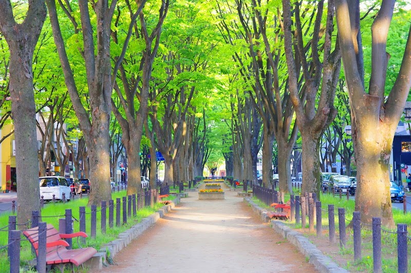 센다이 아오바 축제