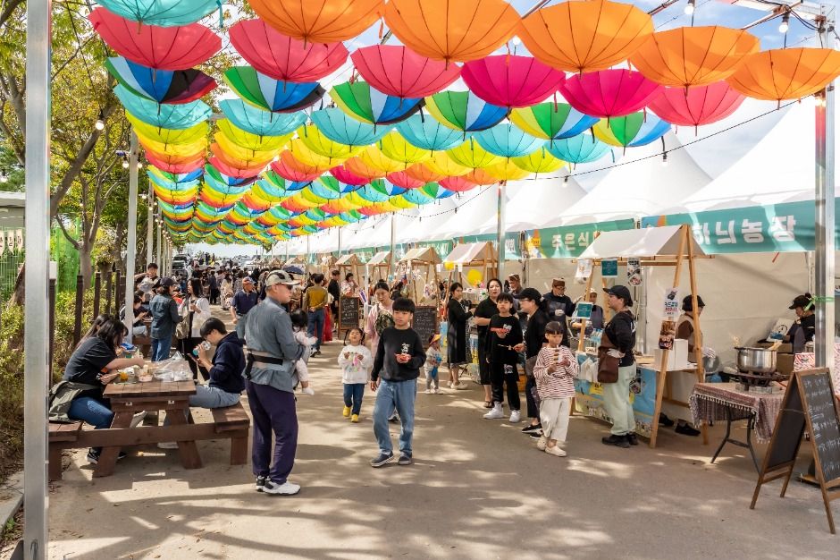 김제 지평선축제