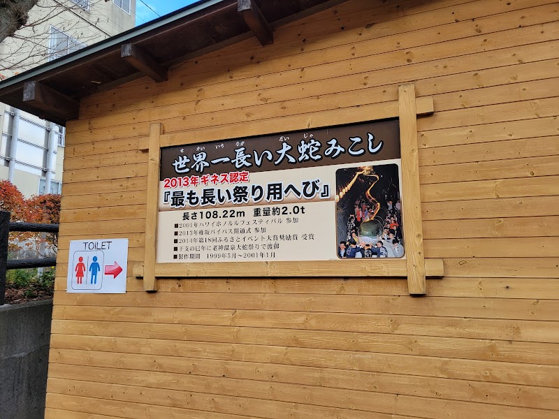 오이가미 온천 대뱀 축제