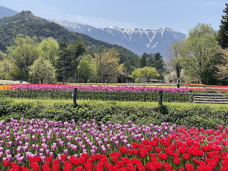 아즈미노 불꽃축제