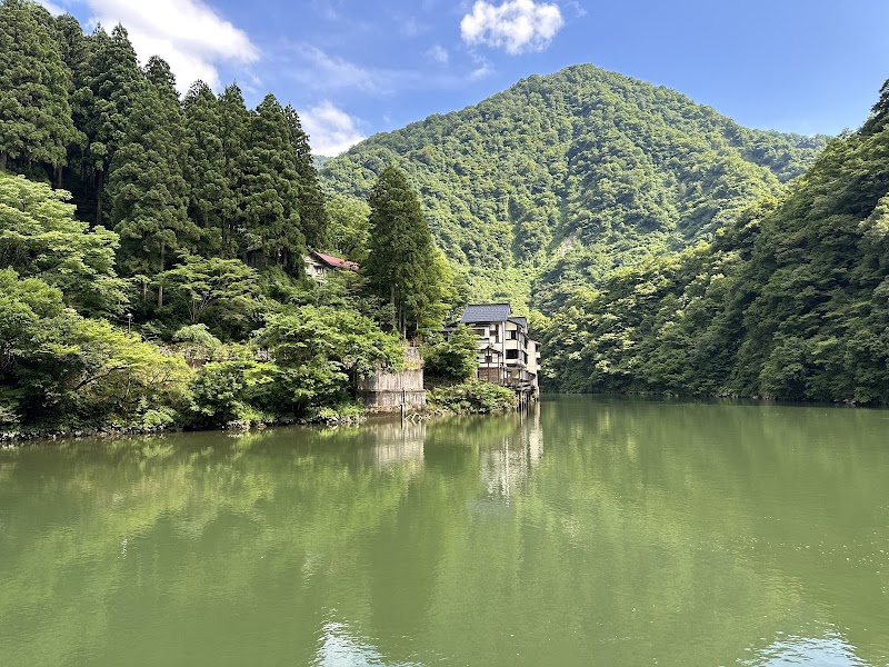 쇼가와 관광 축제