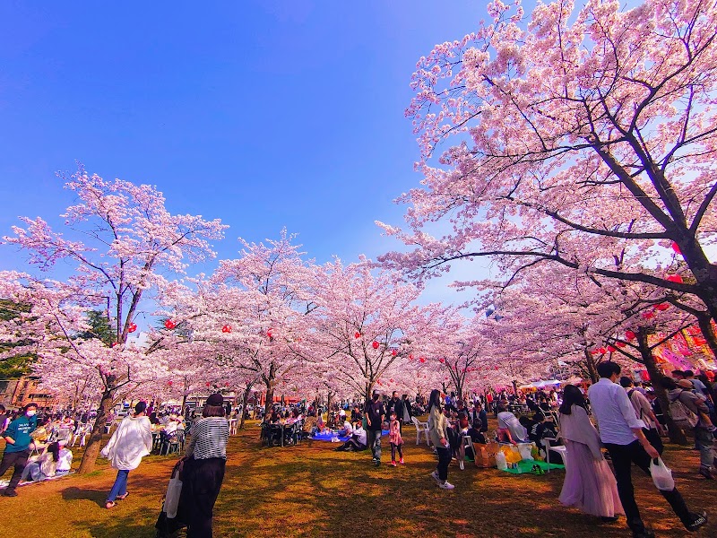센다이 다나바타 불꽃축제