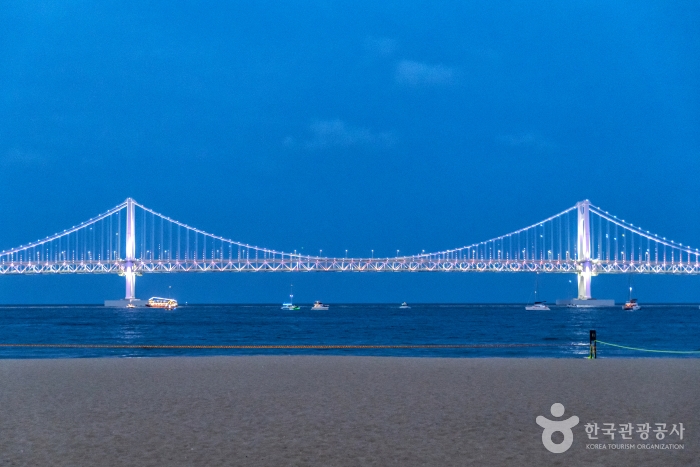 광안리 M 드론라이트쇼