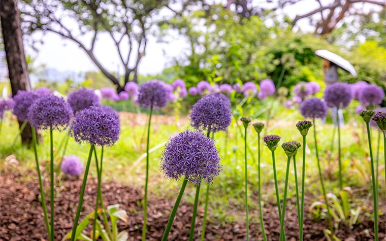 서울국제정원박람회