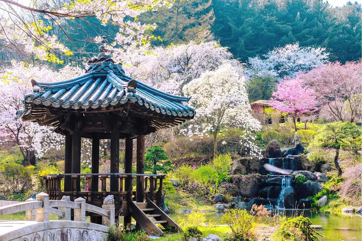 아침고요수목원 봄나들이 봄꽃축제