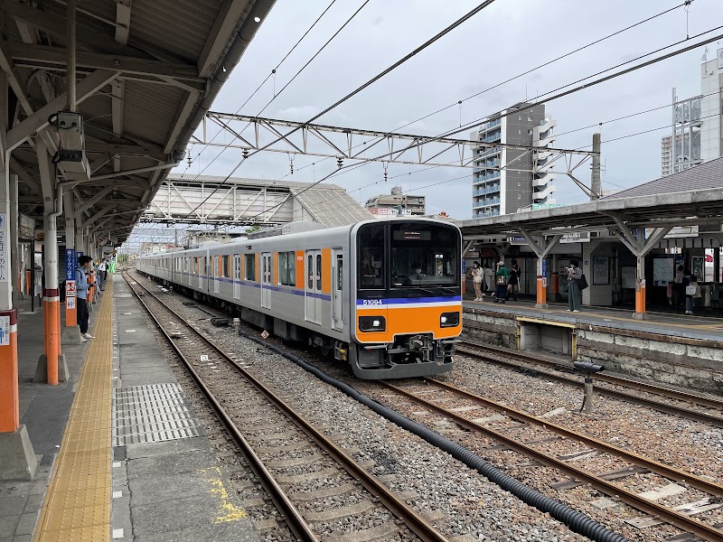 가스카베 등나무 축제
