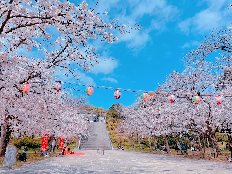 후쿠오카성 벚꽃축제