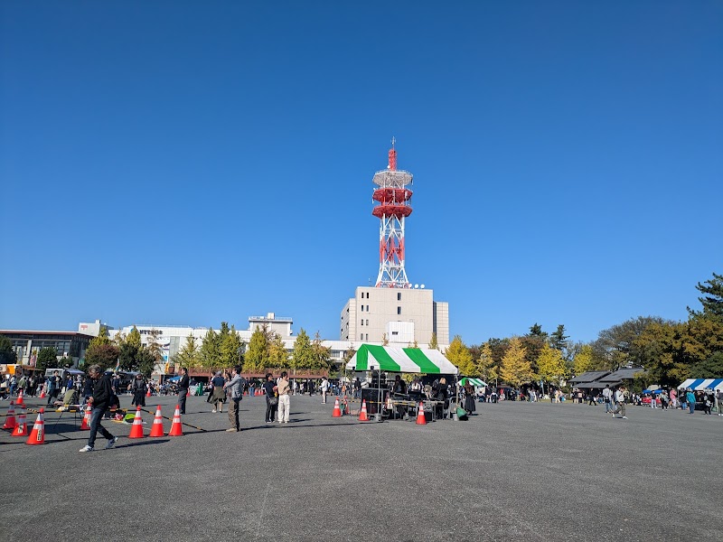 다카사키 봄 축제