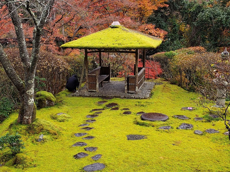 하쿠류엔 봄 특별 공개