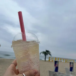 양양 서피비치 브런치