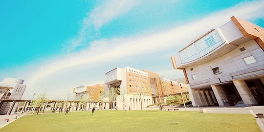 오이시이 요시야마