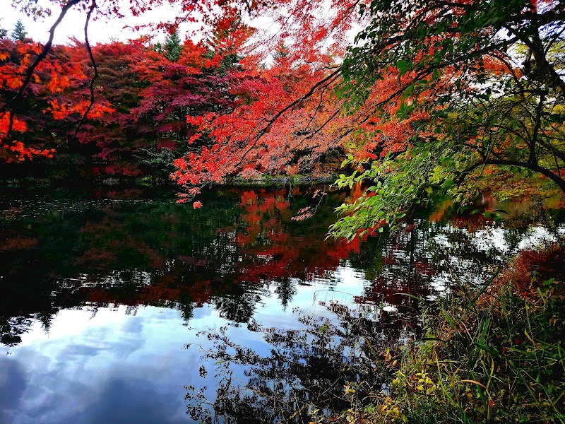 가루이자와 하만 커리
