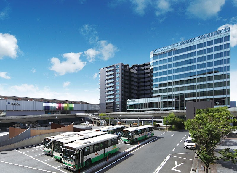 올데이 다이닝 피아차