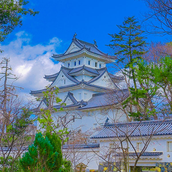 코리안 다이닝 앤 카페