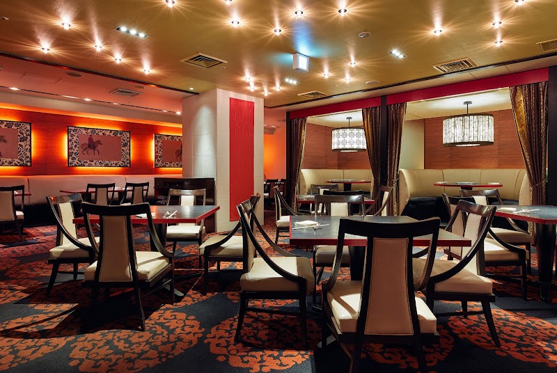 시추안 다이닝 (四川料理)