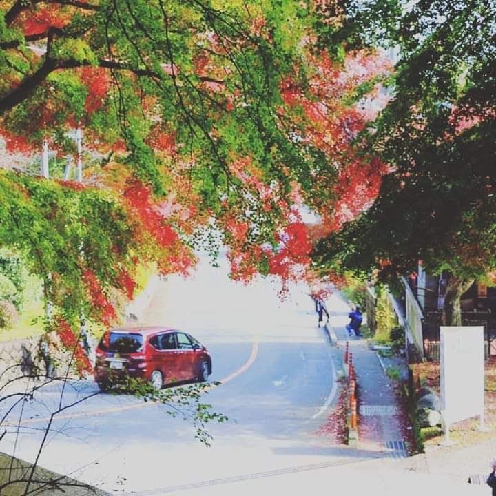 수젠 쇼진 료리