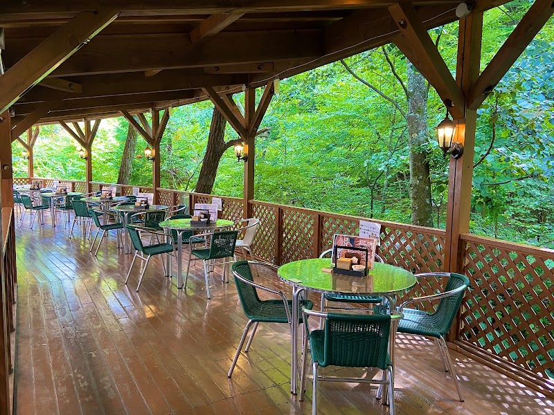 소스카츠동 아오이