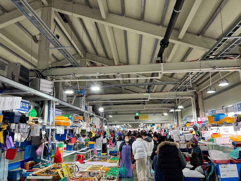 주문진항 해물탕골목