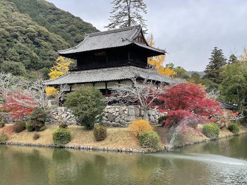 타카모리규 야마자쿠라