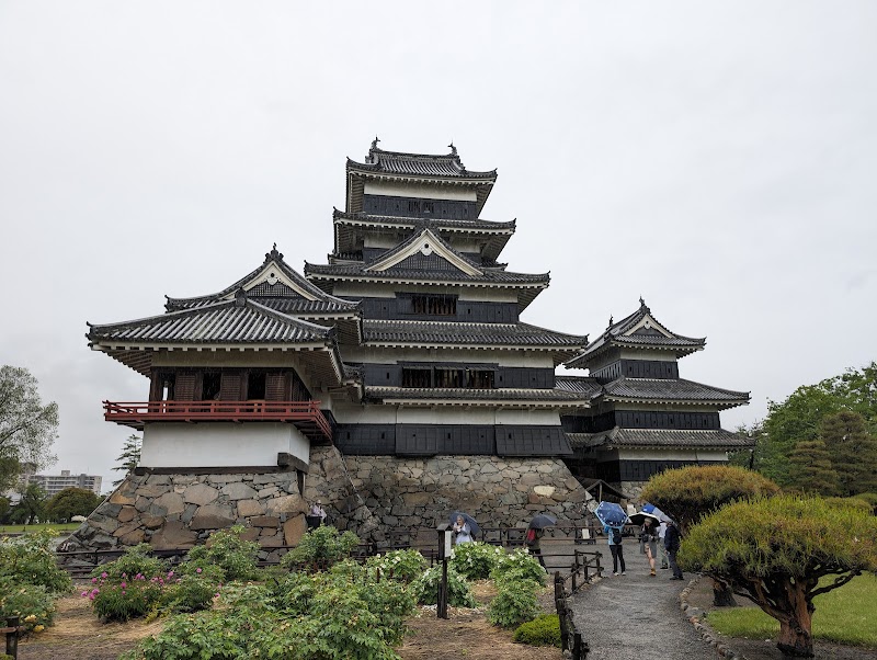 마쓰모토 사케노마