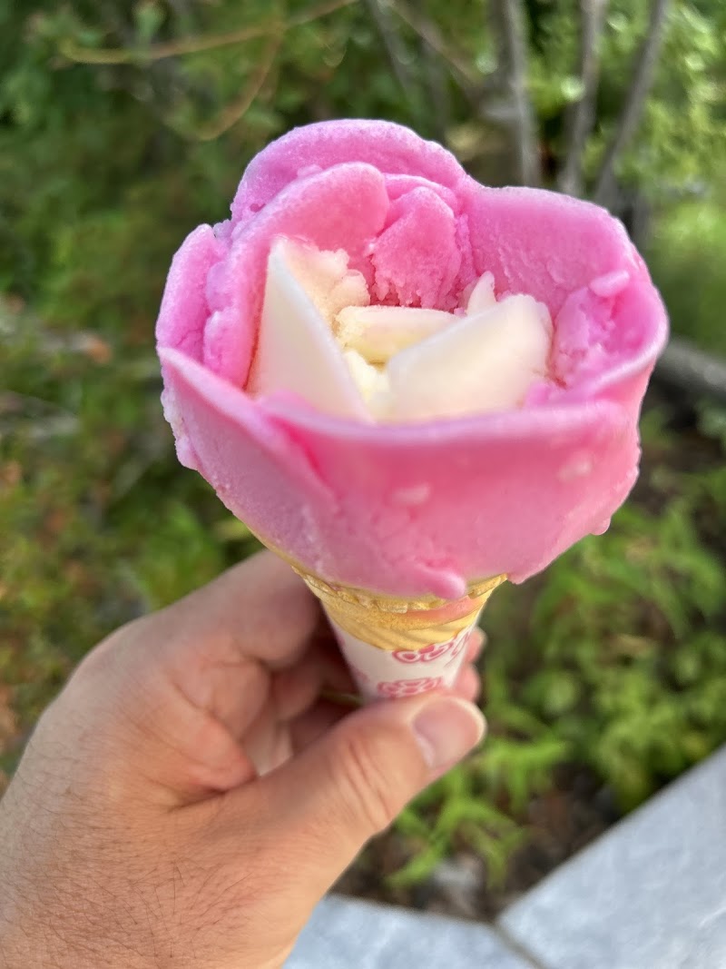 바바헤라 아이스