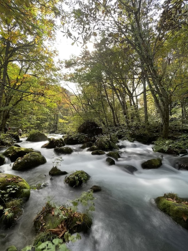 奥入瀬自然茶房