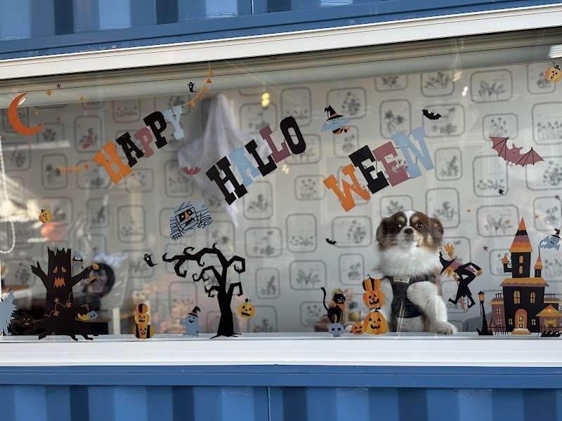 天然食品咖啡馆雫