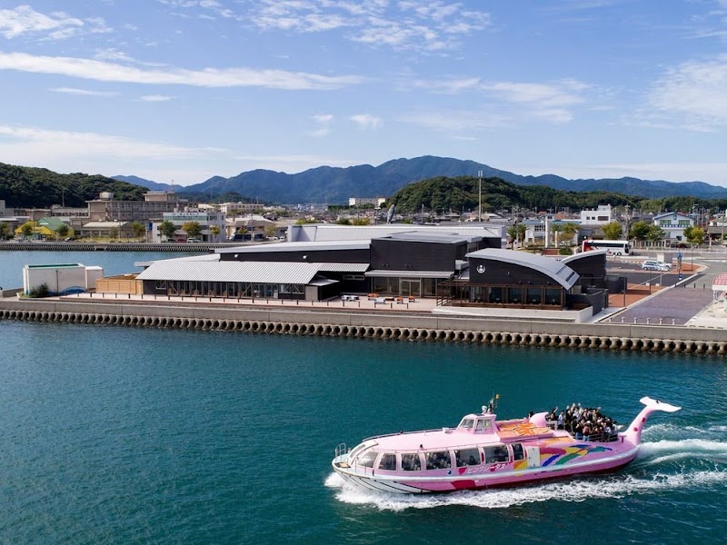 시젠파 카페 마메노키