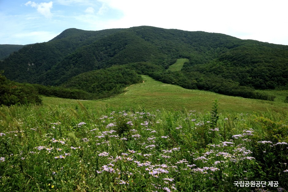 오대산 국립공원