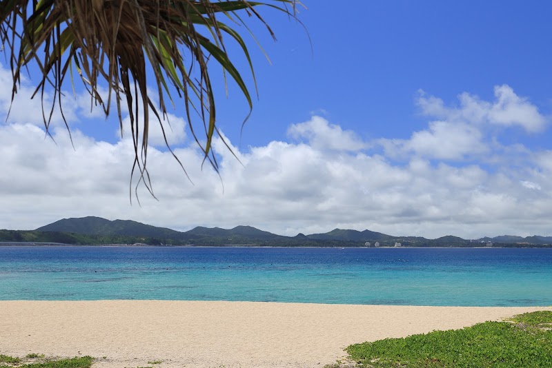 21세기의 숲 비치