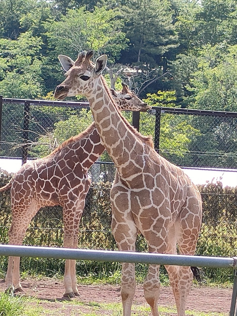 어린이 동물 자연공원