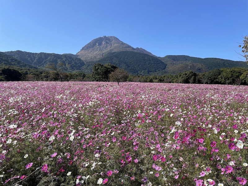 시마바라 반도 지오파크