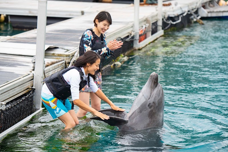 마린 스포츠 체험