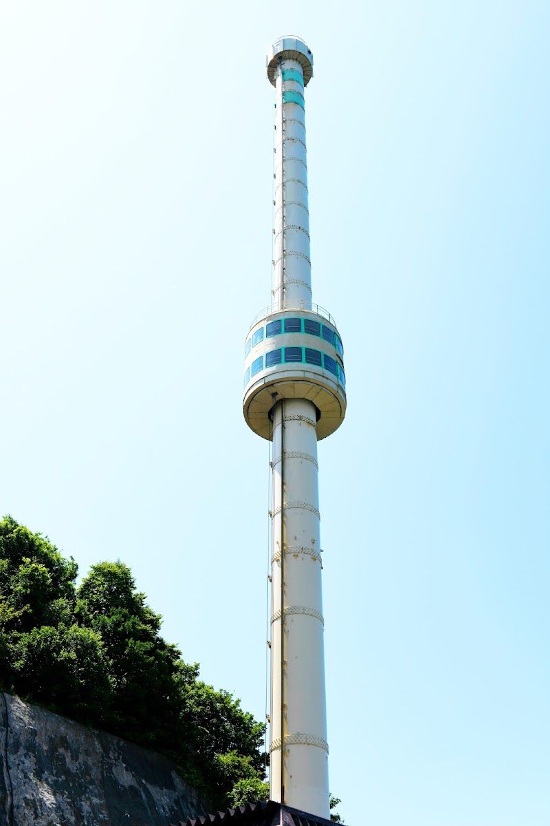 야히코산 전망 야경