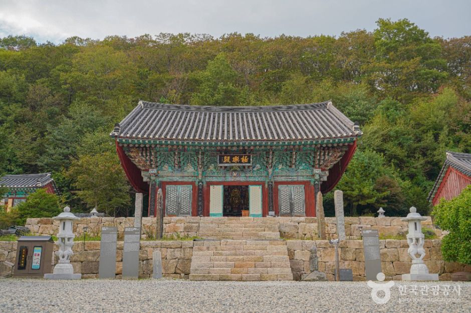 제주 아쿠아플라넷