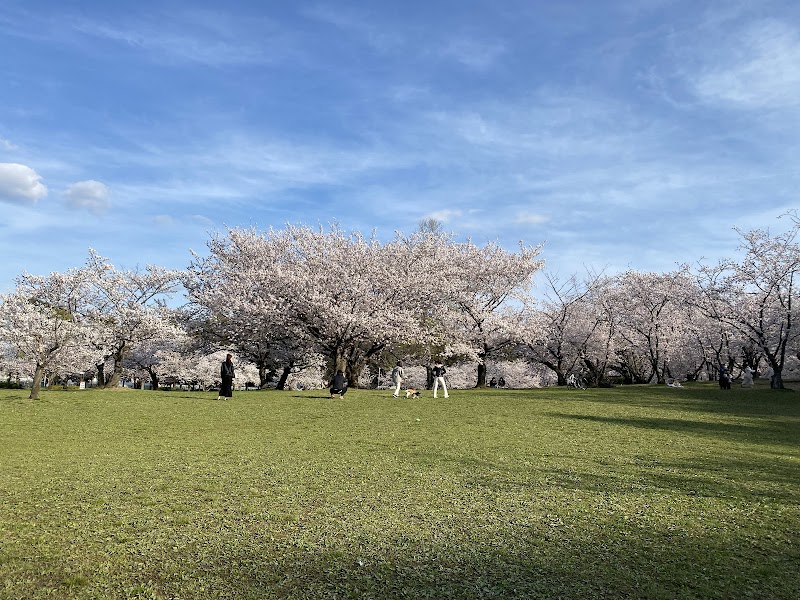 오오이즈미 녹지