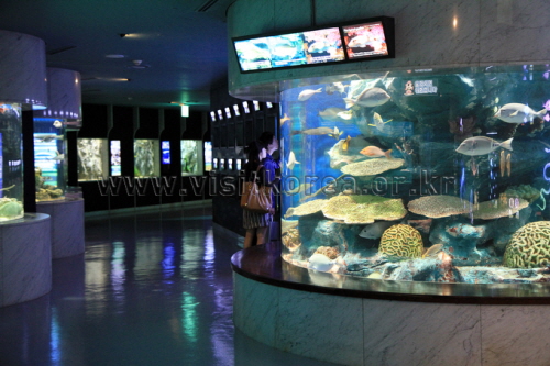 아쿠아플라넷 63