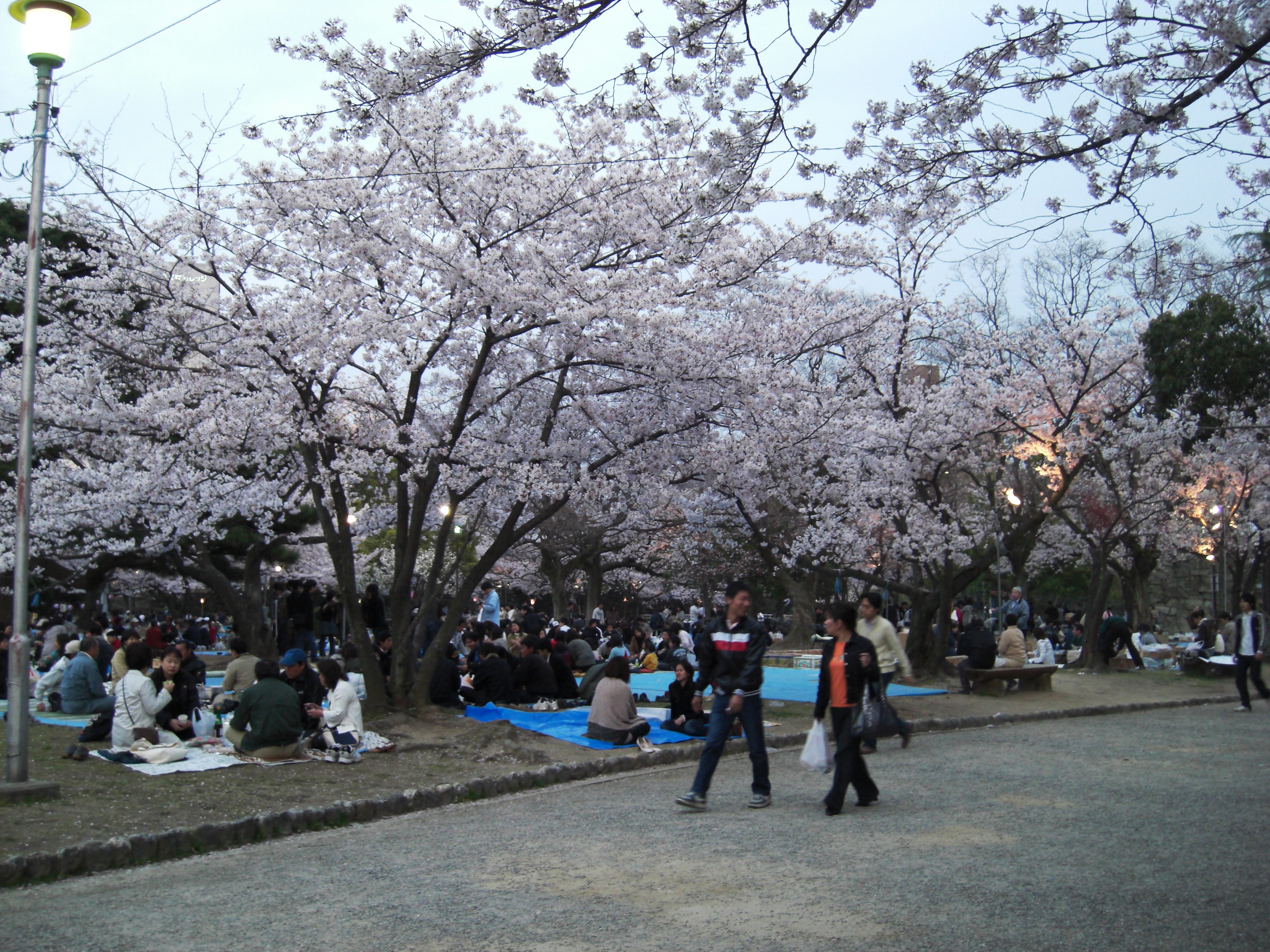 도쿠시마 중앙공원 야경