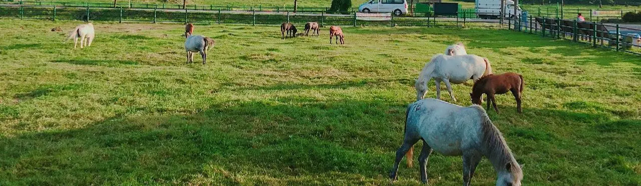 카페 몽상 (구 몽상드쥬르)