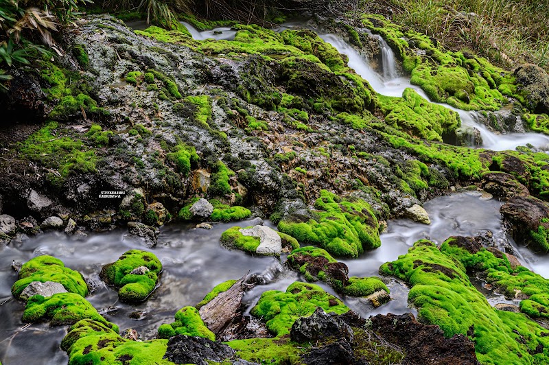 차쓰보미고케 공원