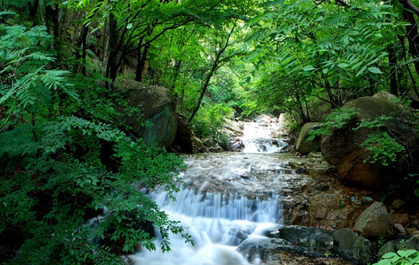 대운산 내원암 계곡