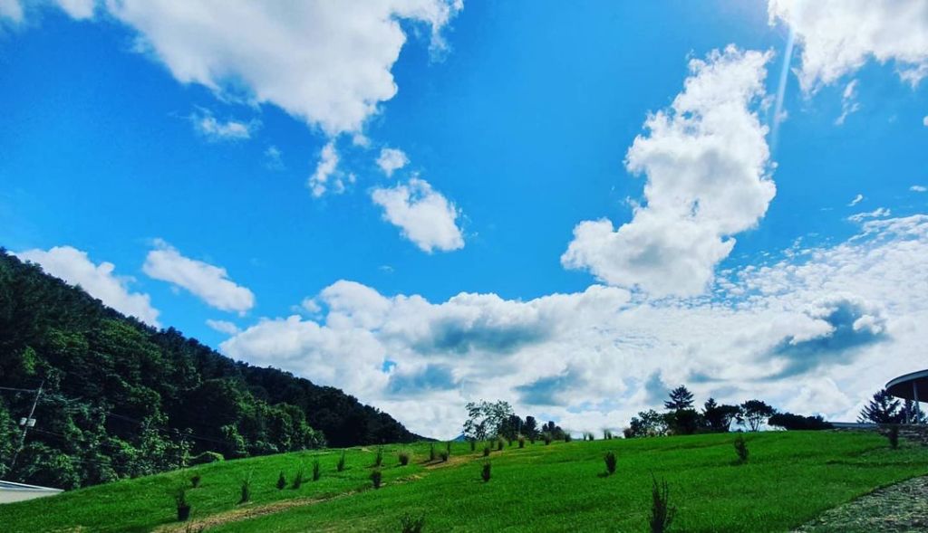 가평 양떼목장카페