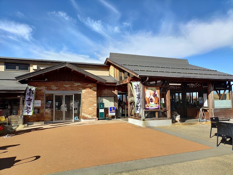 미치노에키 시모고 대형 현수교