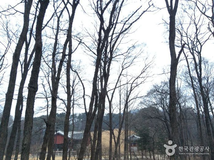 일출랜드(미천굴)