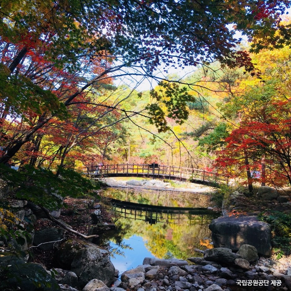 월악산 국립공원